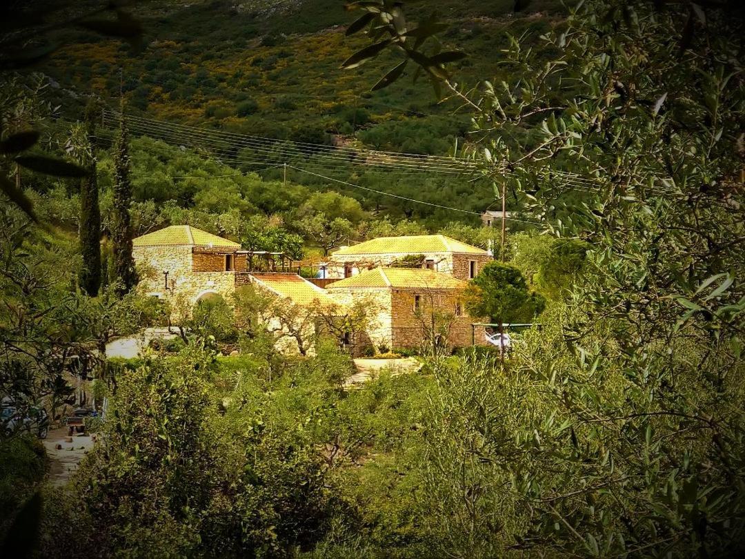 Tsivouli Accommodation Lithakia (Zakynthos) Exterior foto