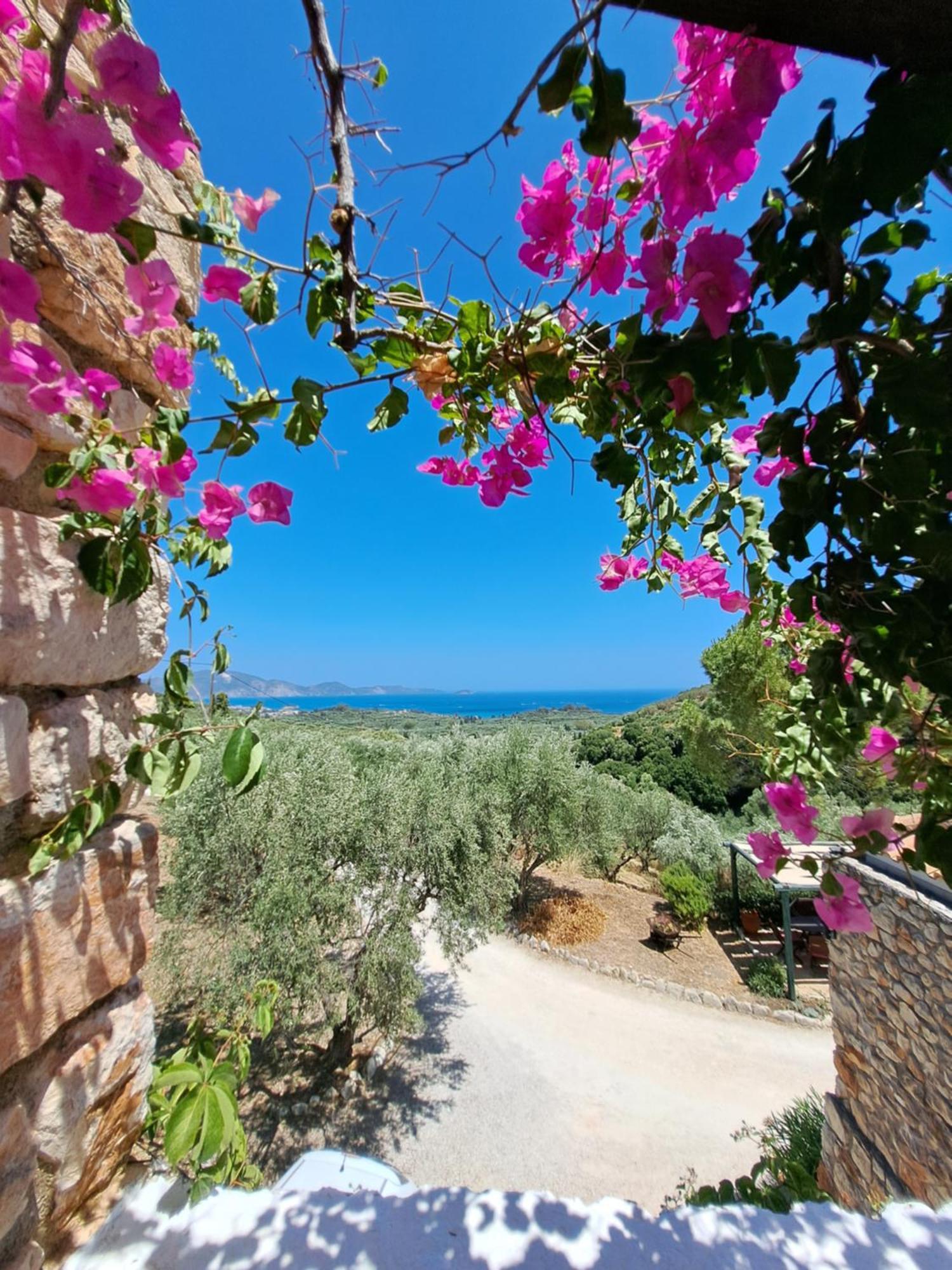 Tsivouli Accommodation Lithakia (Zakynthos) Exterior foto